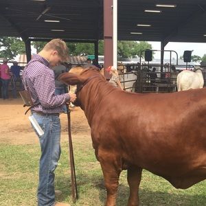 Meet your Posher, Curt